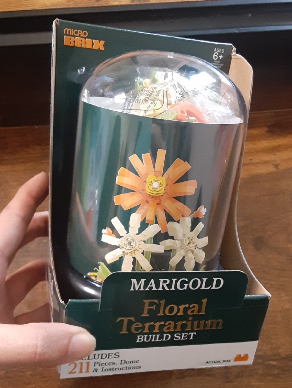 Floral Terrarium Build Set